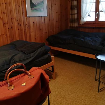 Casa Steilalva - Grosszuegiges Chalet Fuer Erholsamen Familienurlaub Surrein ภายนอก รูปภาพ
