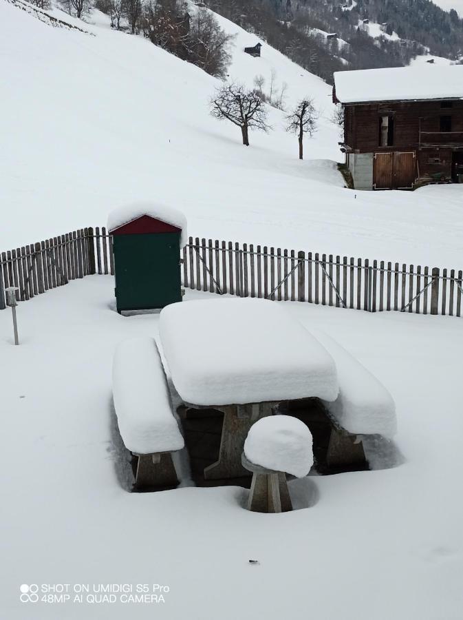 Casa Steilalva - Grosszuegiges Chalet Fuer Erholsamen Familienurlaub Surrein ภายนอก รูปภาพ