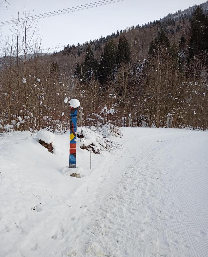 Casa Steilalva - Grosszuegiges Chalet Fuer Erholsamen Familienurlaub Surrein ภายนอก รูปภาพ