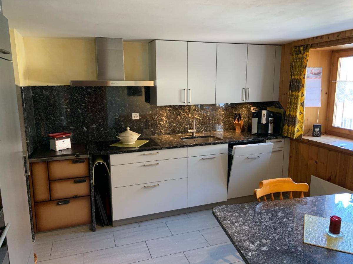Casa Steilalva - Grosszuegiges Chalet Fuer Erholsamen Familienurlaub Surrein ภายนอก รูปภาพ