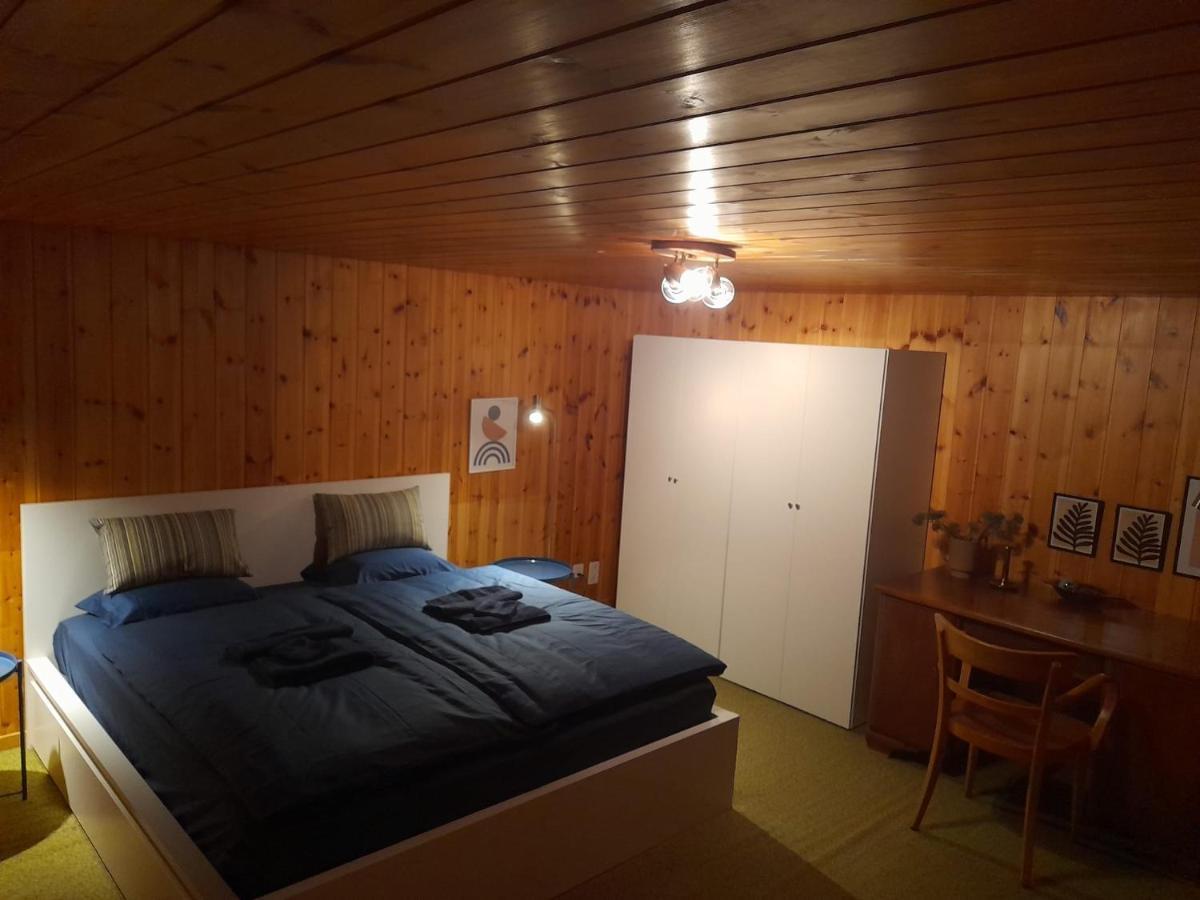 Casa Steilalva - Grosszuegiges Chalet Fuer Erholsamen Familienurlaub Surrein ภายนอก รูปภาพ